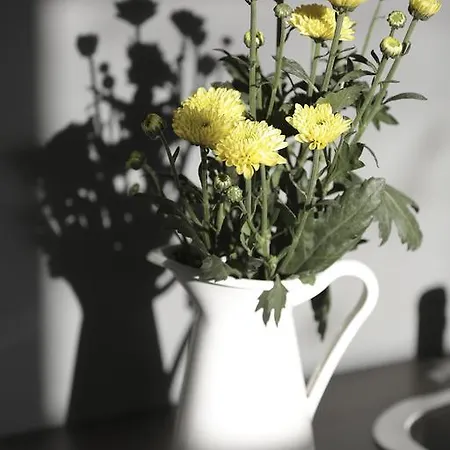 Daire Water And Sun *