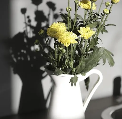 Appartement Water And Sun *